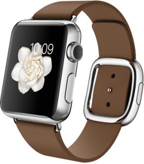 Apple Watch (38 mm) Paslanmaz Çelik Kasa ve Modern Tokalı Kahverengi Kayış