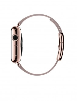 Watch Edition (38 mm) 18 Ayar Roze Altın Kasa ve Modern Tokalı Roze Gri Kayış - 2