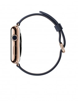 Watch Edition (42 mm) 18 Ayar Roze Altın Kasa ve Klasik Tokalı Gece Mavisi Kayış - 2