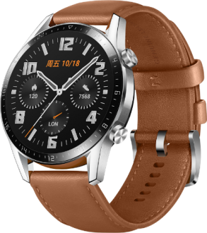 Watch GT 2 Classic (46mm)