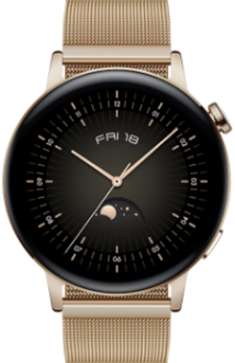 Watch GT 3 Elegant Milanese (42mm) - 1