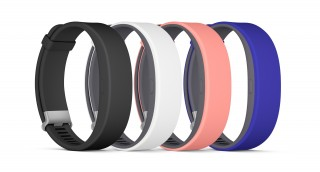 SmartBand 2 SWR12 - 2