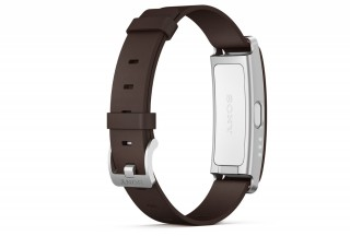 SmartBand SWR10 - 2