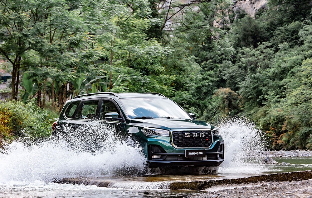 SWM G05 1.5 Premium DCT