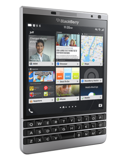 Passport Silver Edition - 1