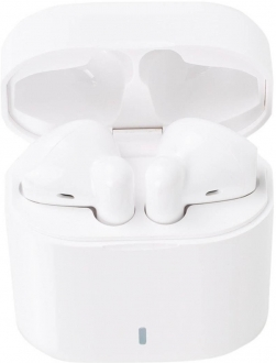 iThink EarNotes Basic