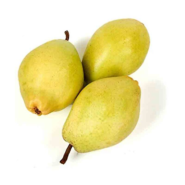 Armut Santa Maria Gurme 1 Kg