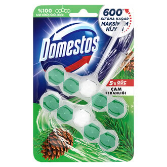 Domestos Çam Ferahlığı Wc Blok 100 Gr