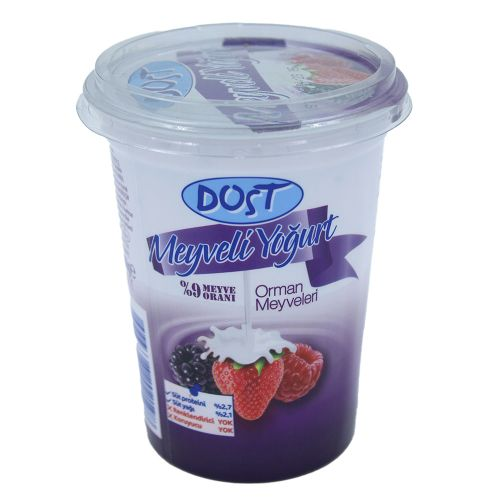 Dost Çilek Kayısı Şeftali Orman Meyveli Yoğurt 500 Gr