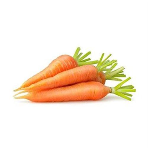 Erüst Mini Havuç Adet