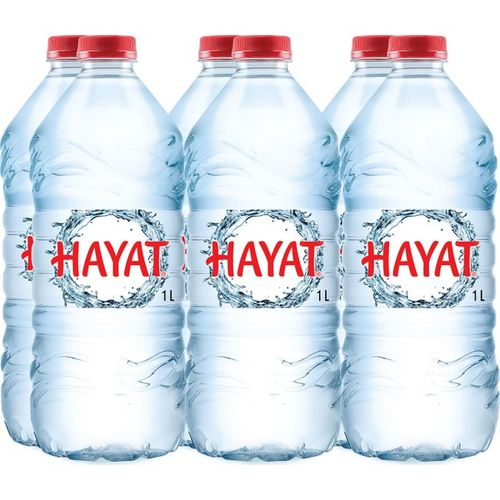 Hayat Su 6x 1 Lt