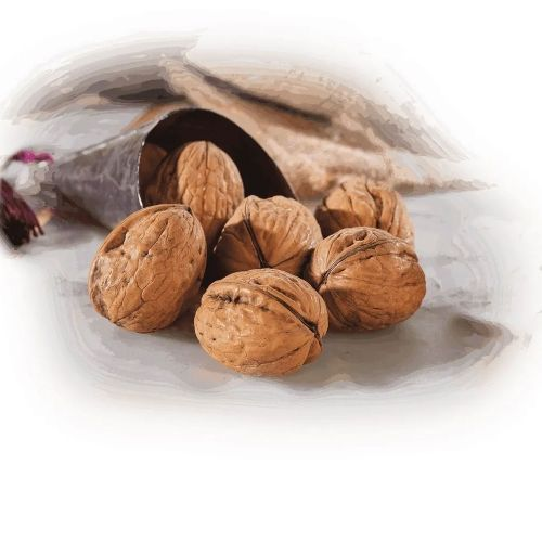 Kabuklu Ceviz 1 Keyifçe