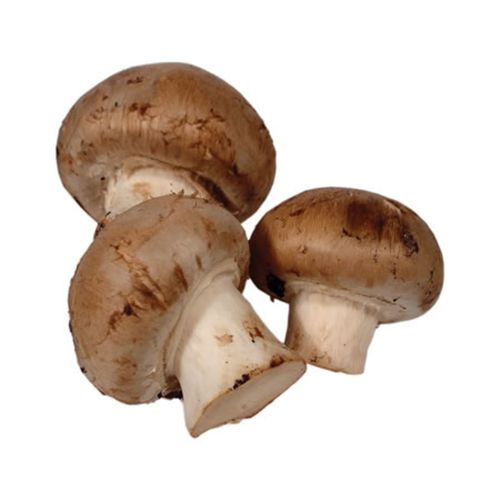 Kestane Mantarı 350 Gr