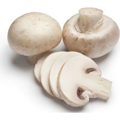 Kültür Mantarı 400 Gr