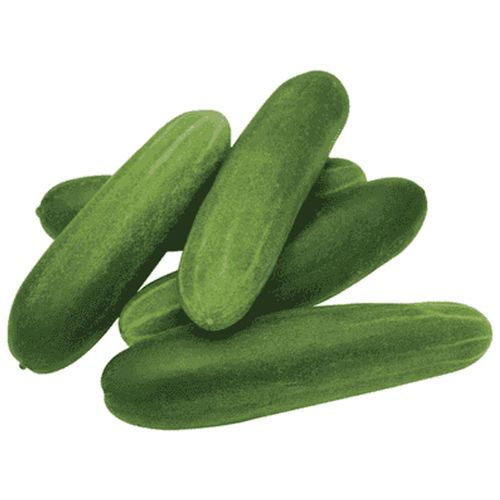 Salatalık Çengelköy Paket 500 Gr