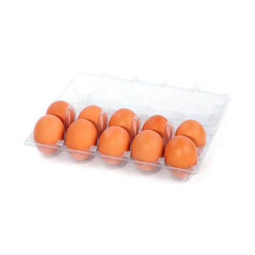 Organik Yumurta M Boy 10 Adet