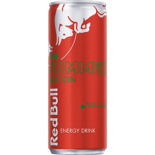 Red Bull Edition Karpuz 250 Ml