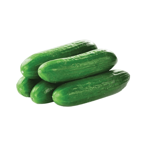 Salatalık 1 Kg