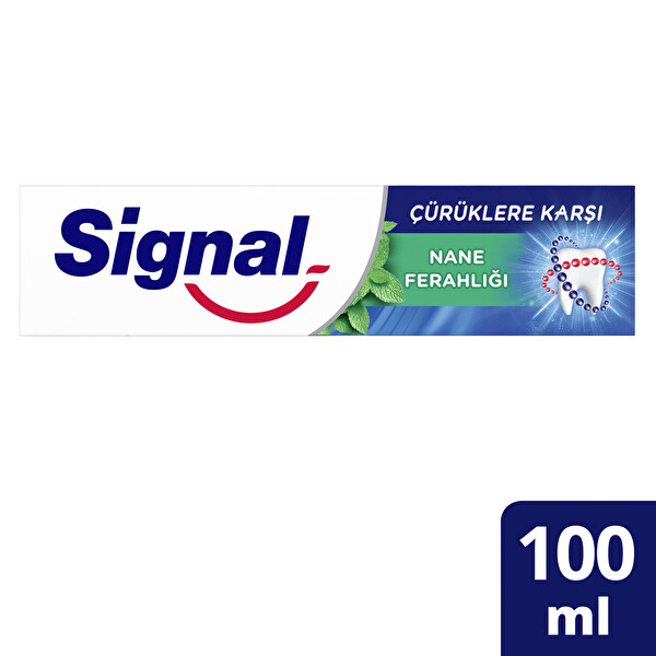 Signal Çürüklere Karşı Diş Macunu Nane 100 Ml