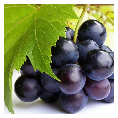 Siyah Üzüm 1 Kg