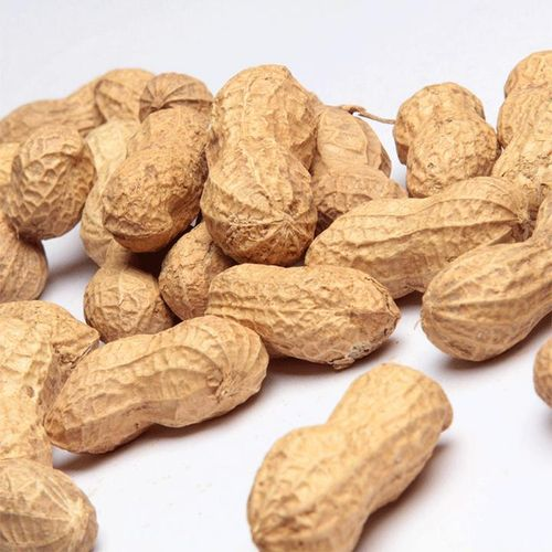 Tadım Kabuklu Yer Fıstığı 250 Gr