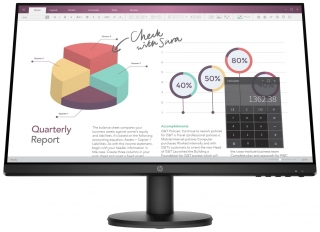HP P24v G4 (9TT78AS)