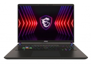 MSI Vector 16 HX A13VHG-495TR