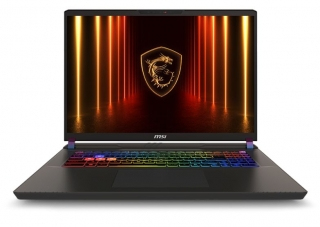 MSI Vector 17 HX AI A2XWHG-081TR