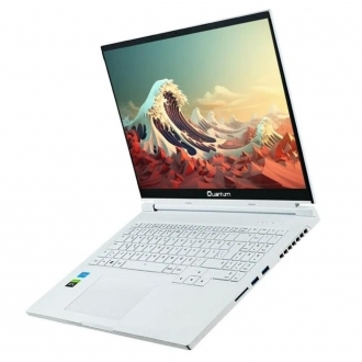 Whitefang G4010 (8GBRAM/250GBSSD/FDOS) - 2