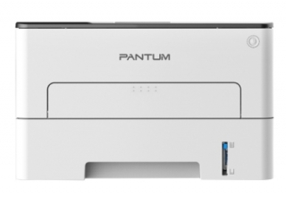 Pantum P3010D