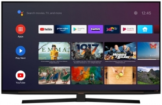 Beko Atlanta 55 GGU 8965 BE