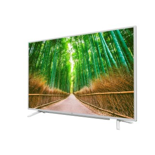 Beko B40L 6752 5W görsel 3