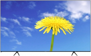 Dijitsu 85DW9900