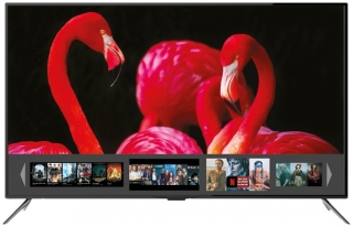 Dijitsu DJTV55S