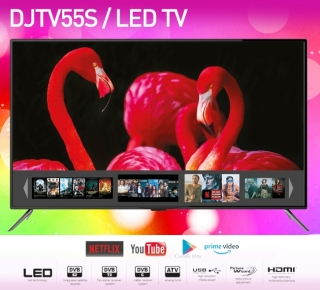 Dijitsu DJTV55S görsel 2