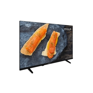 Grundig 32 GDH 5950B görsel 2