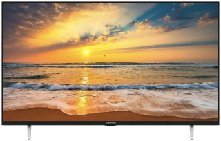 Grundig 43 GHF 6500 B