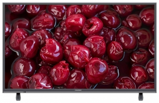 Grundig Napoli 49 GCU 7855 AP