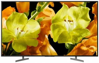 Sony KD-49XG8196