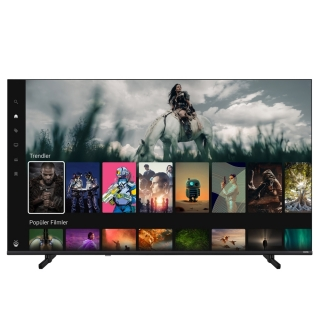 Vestel 55UT9840 görsel 2